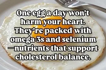 Eggs and Cholesterol