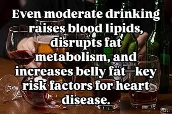Alcohol and Cholesterol